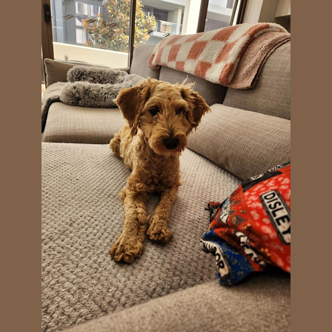 Photo of Jenson