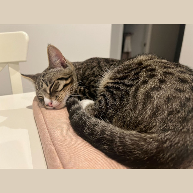 Photo of Conrad & Jeremiah