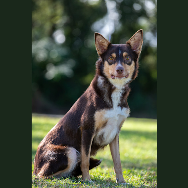 Photo of Ruby