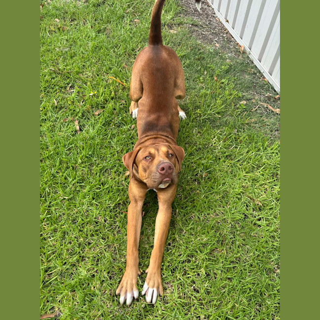 Photo of Benny