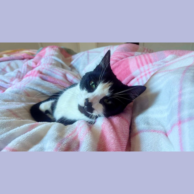 Photo of Theodore 