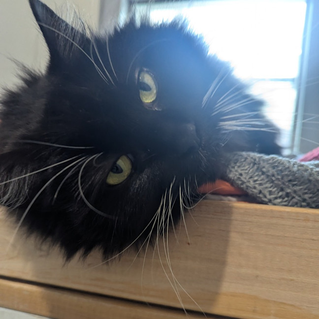 Photo of Lillith