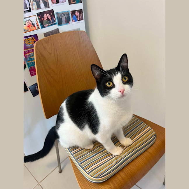 Photo of Hope & Oreo