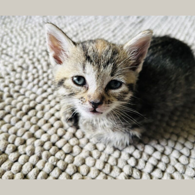 Photo of Peggy