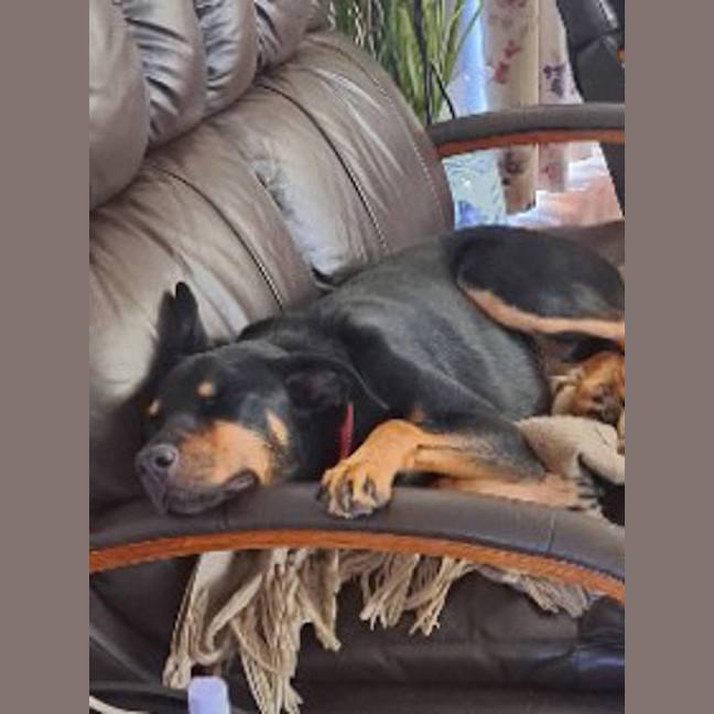Photo of Leroy