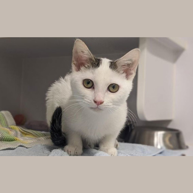 Photo of Tim Tam 