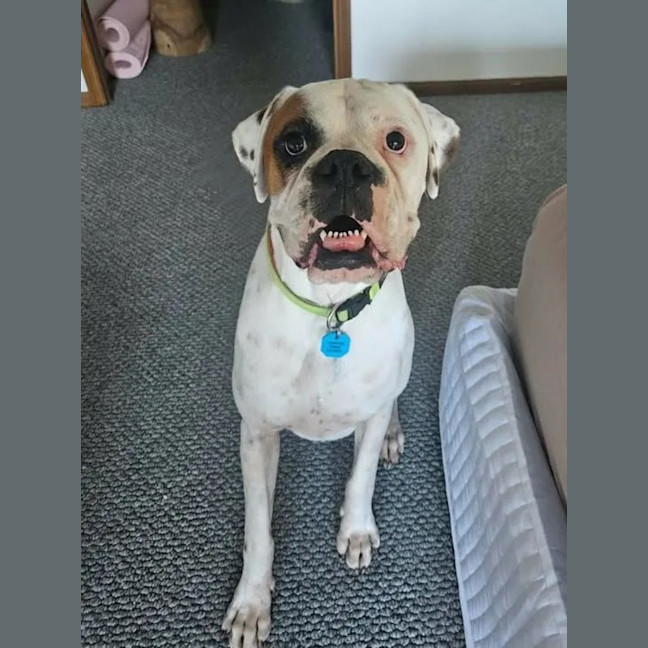Photo of Storm