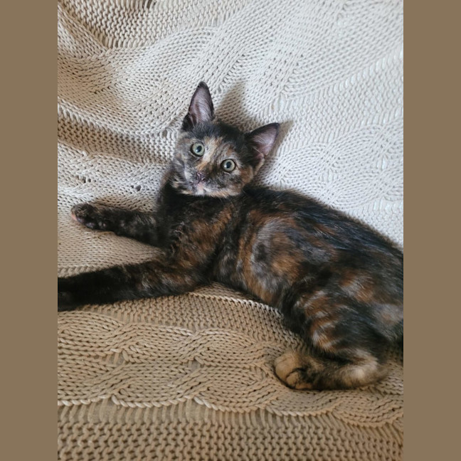 Photo of Ginny