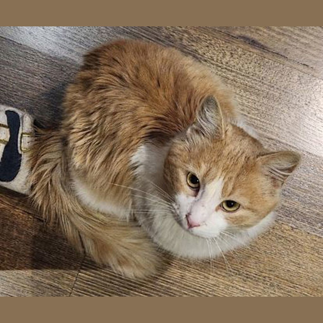Photo of Churro