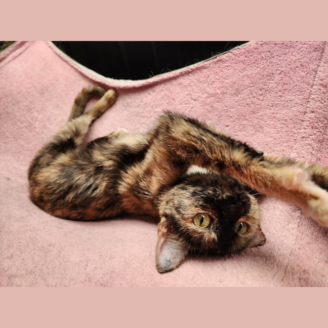 Photo of Olivia 