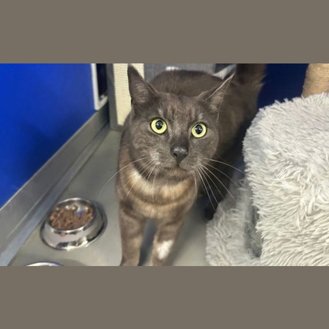 Photo of Ghost