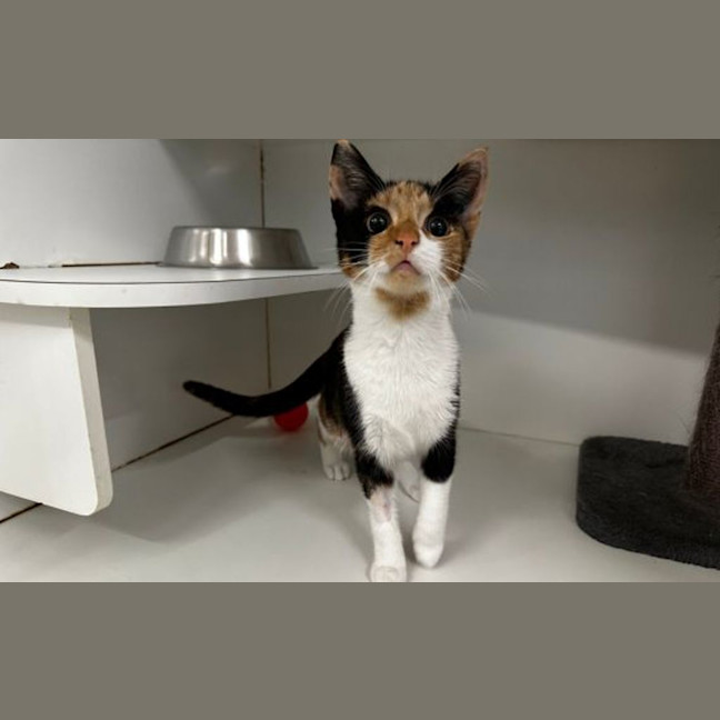 Photo of Rudy