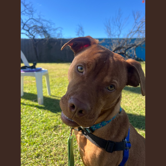 Photo of Benny