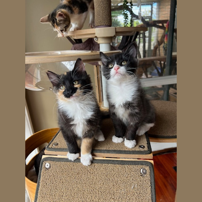 Photo of Bruce & Marigold