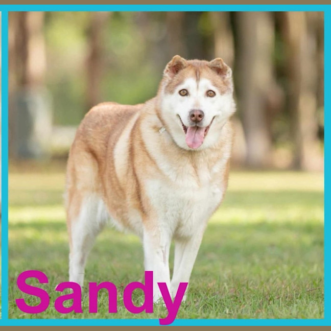 Photo of Kiki And Sandy