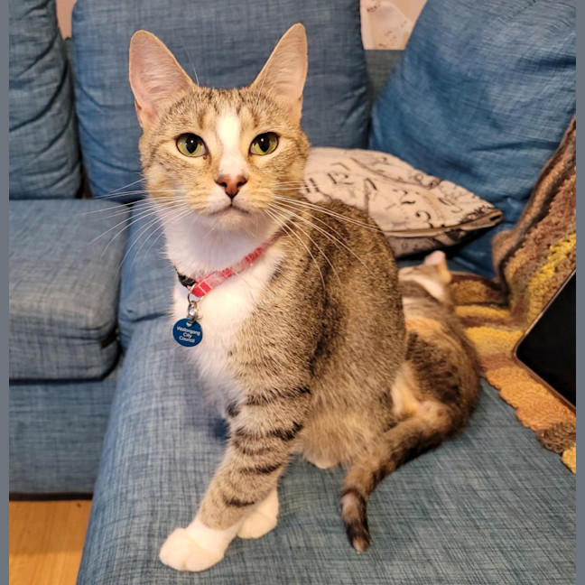 Photo of Belle