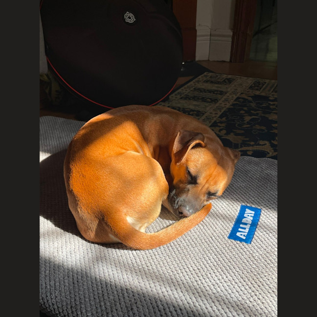 Photo of Arlo