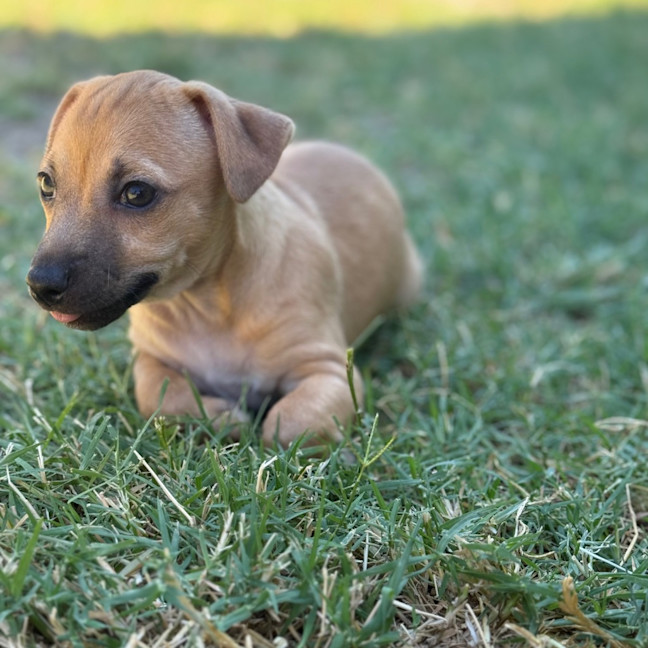 Photo of Milly