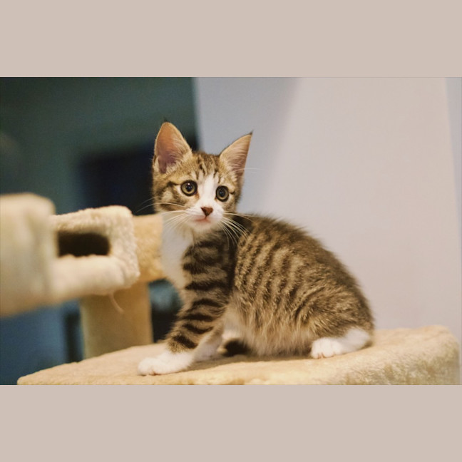 Photo of ☀️ Somersby ☀️