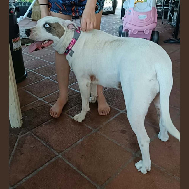 Photo of Jazz