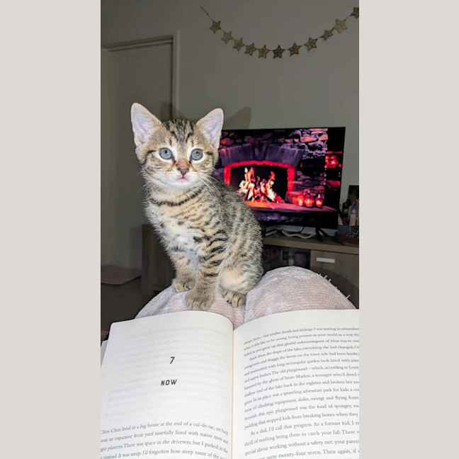 Photo of Rosie & Bailey 