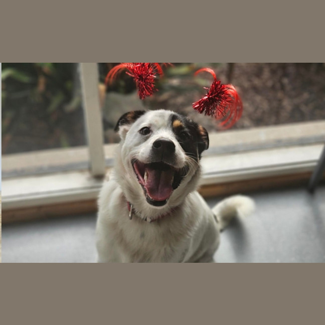Photo of Jack