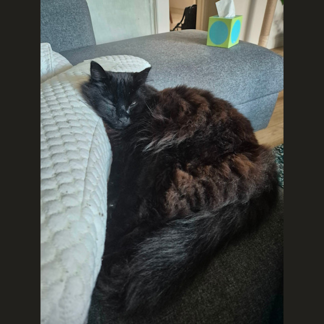 Photo of Clive   In Foster Care In Cheltenham