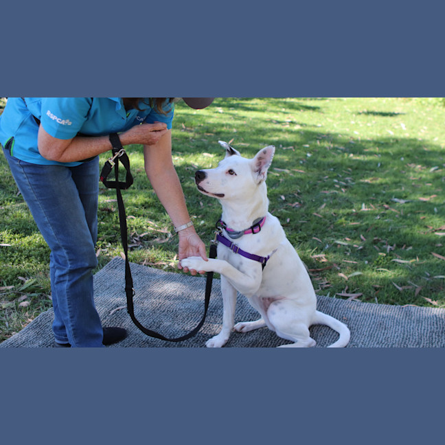 Photo of Penny