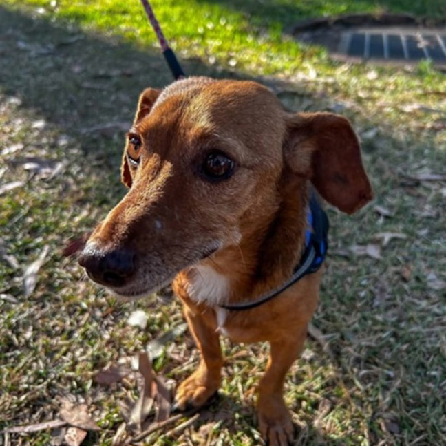 Photo of Solo