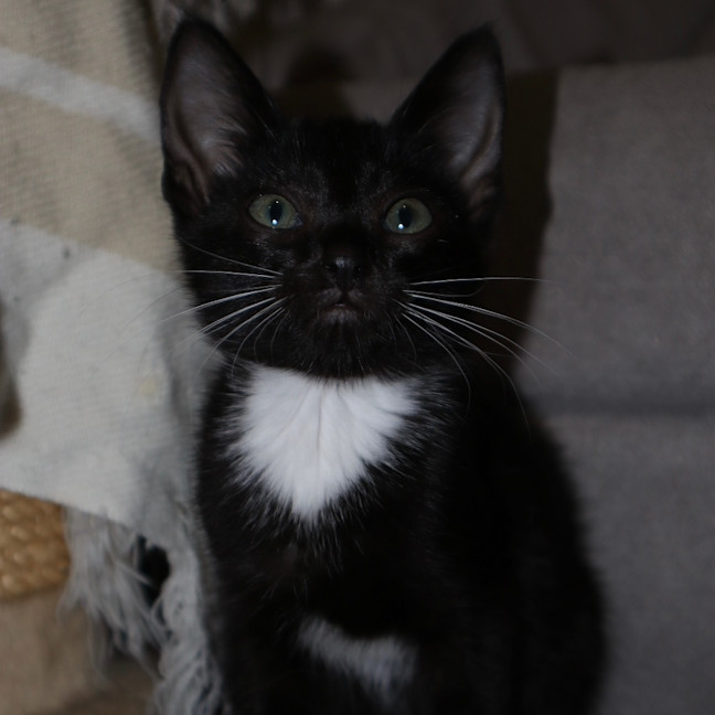 Photo of Gilly