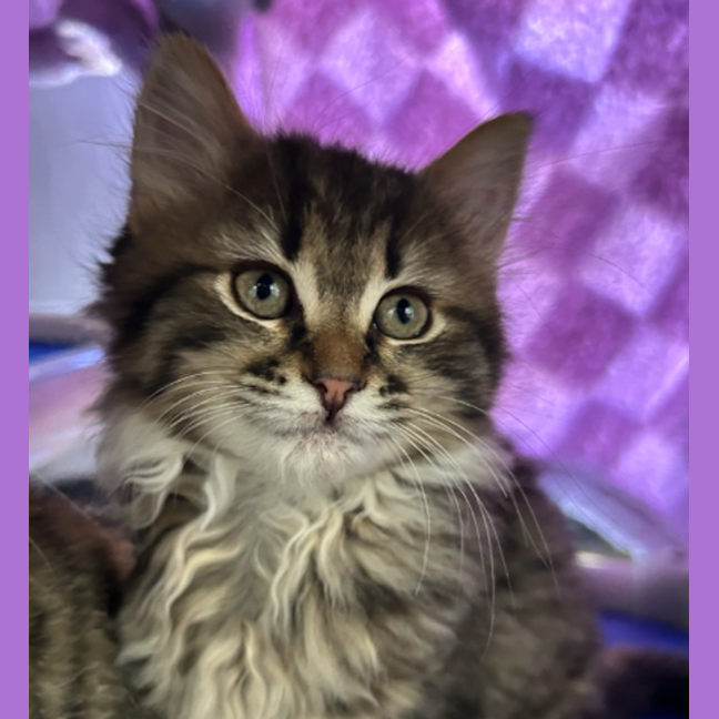 Photo of Charlie