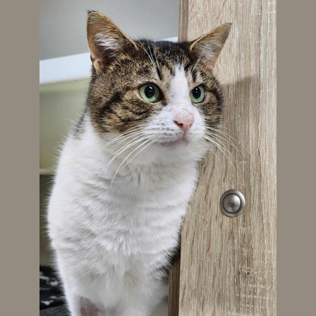 Photo of 🎣 Rafferty 6254 🎣