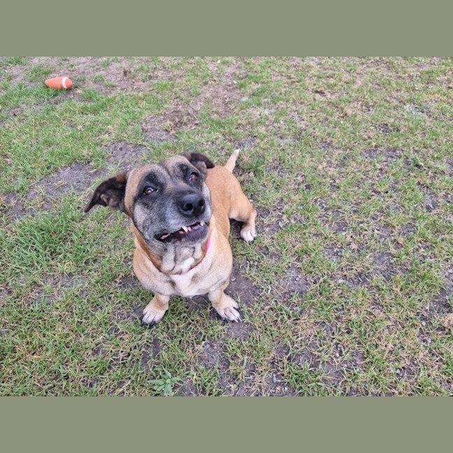 Photo of Wilma Imp 2408