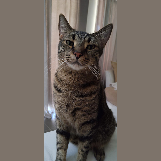 Photo of Leo