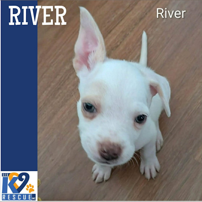 Photo of River