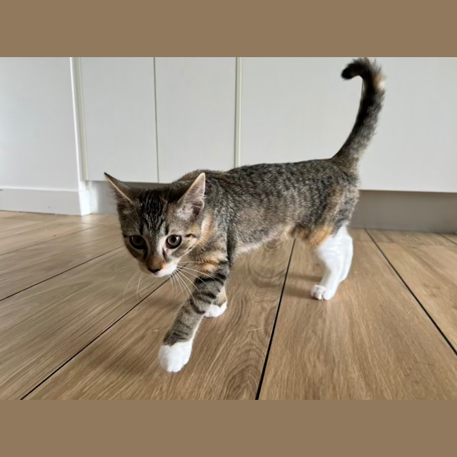 Photo of Molly