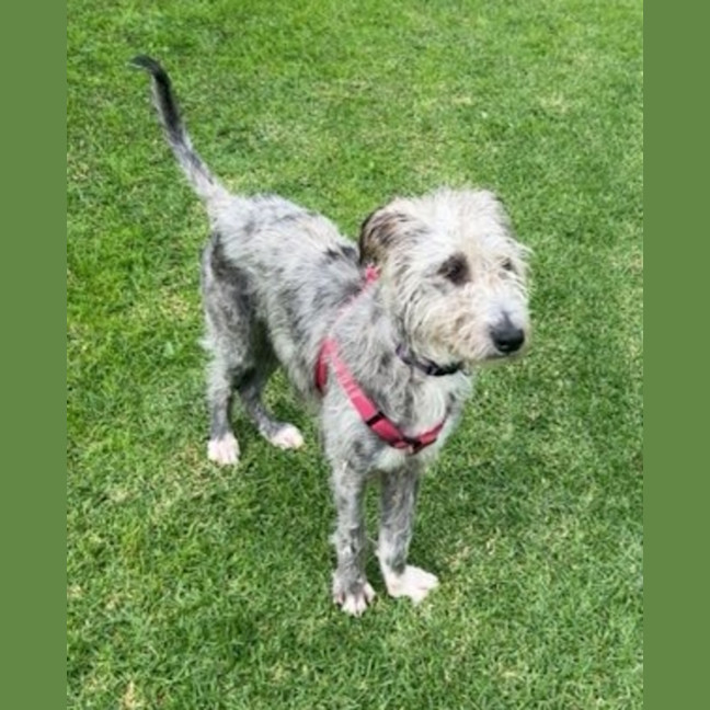 Photo of Molly