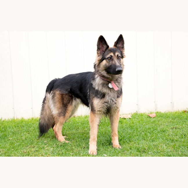 Photo of Tilly