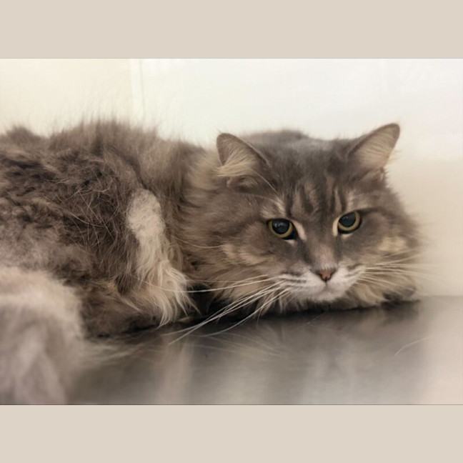 Photo of Talulah