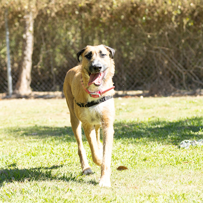 Photo of Hugo