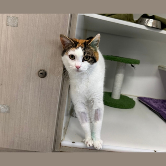 Photo of Dotty