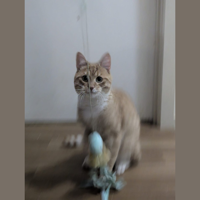 Photo of Simon
