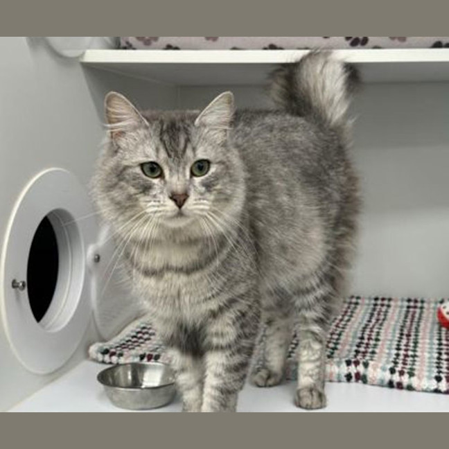 Photo of Nimbus