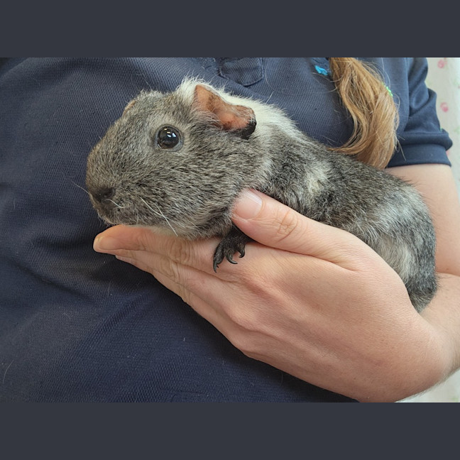 Photo of Amara Stormrider