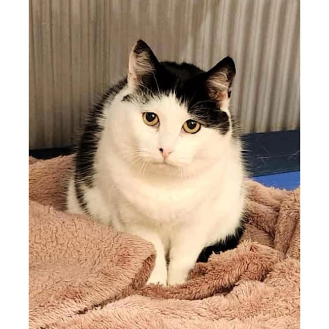 Photo of 9336   Karen