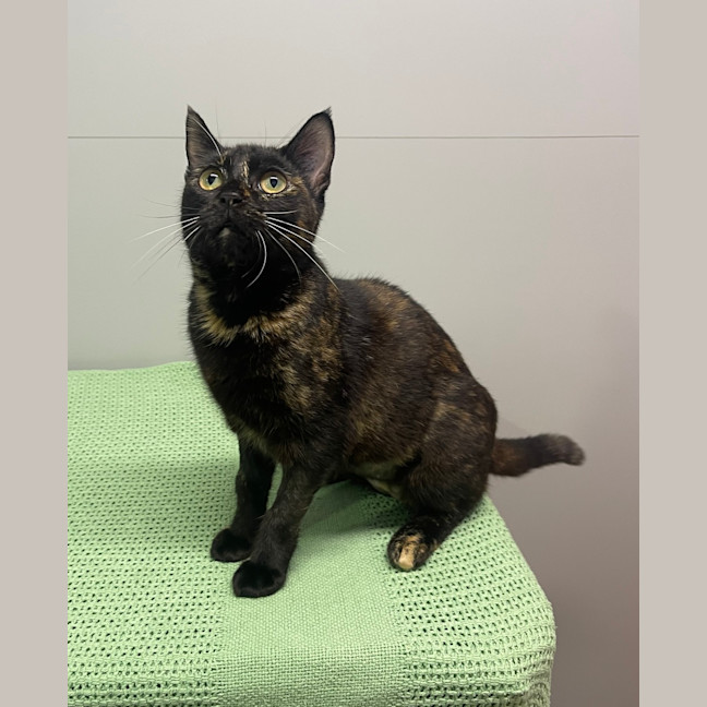 Photo of Dolly Parton