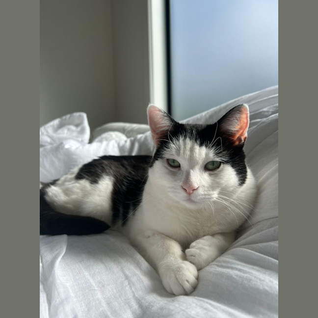 Photo of Winnie