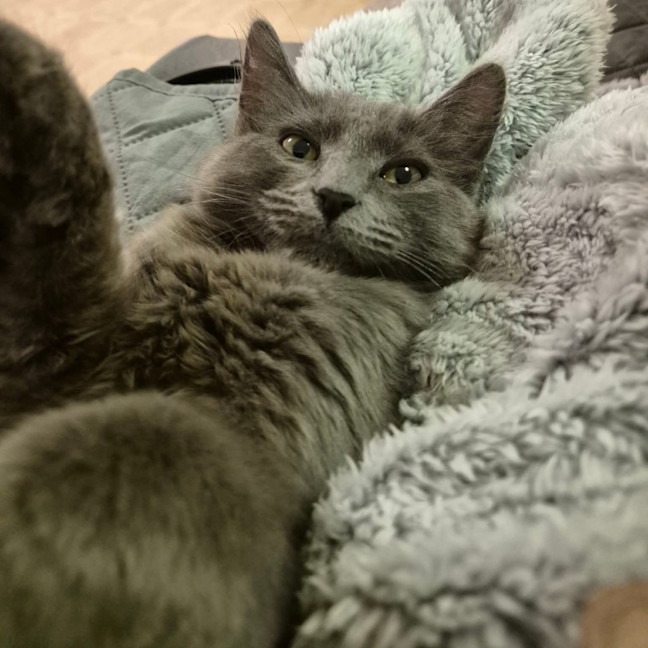 Photo of Nyla