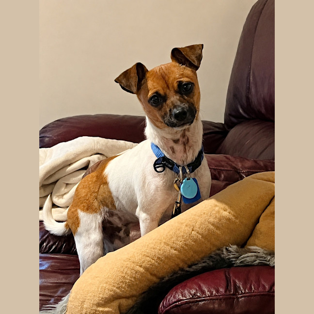 Photo of Dale