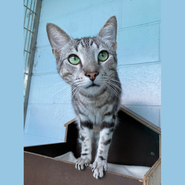 Photo of Boomer